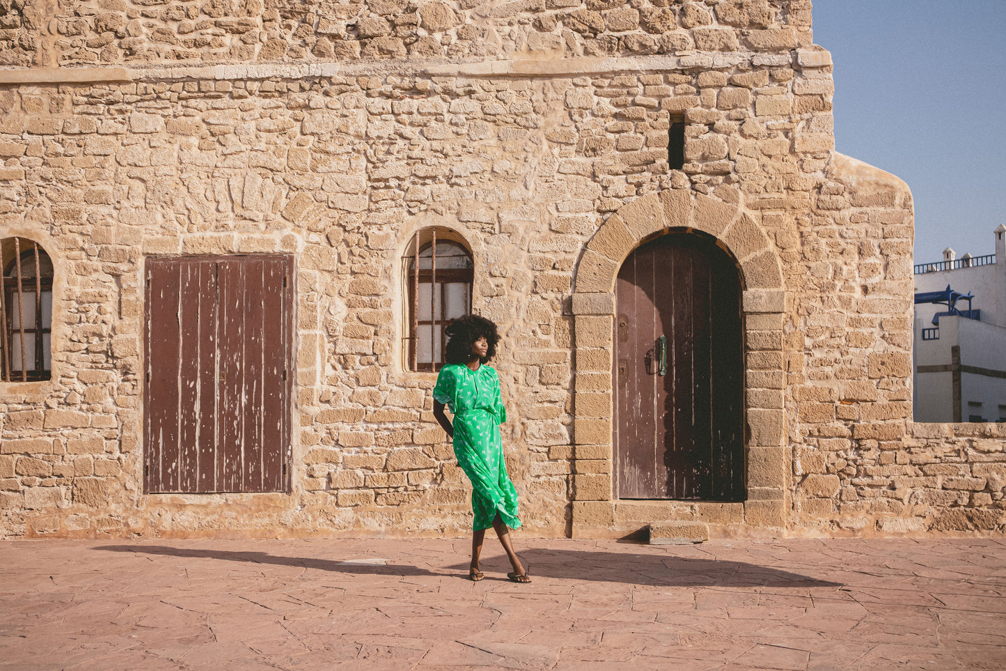 BLAZE DRESS | LOVEBIRDS PRINT