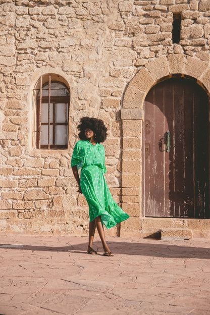 BLAZE DRESS | LOVEBIRDS PRINT
